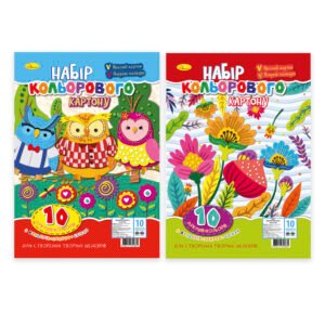 Carton colorat A4 10 foi