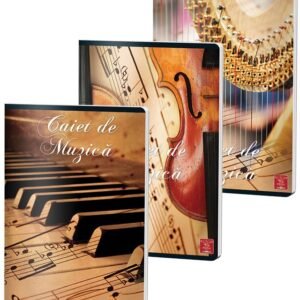 Caiet pentru note A4 24 foi