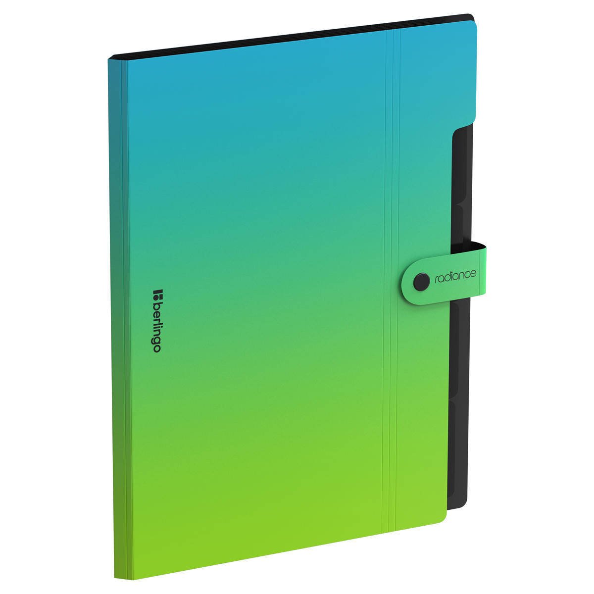 Mapa cu 5 compartimente Berlingo, A4+ Radiance 600 mkm, albastru-verde