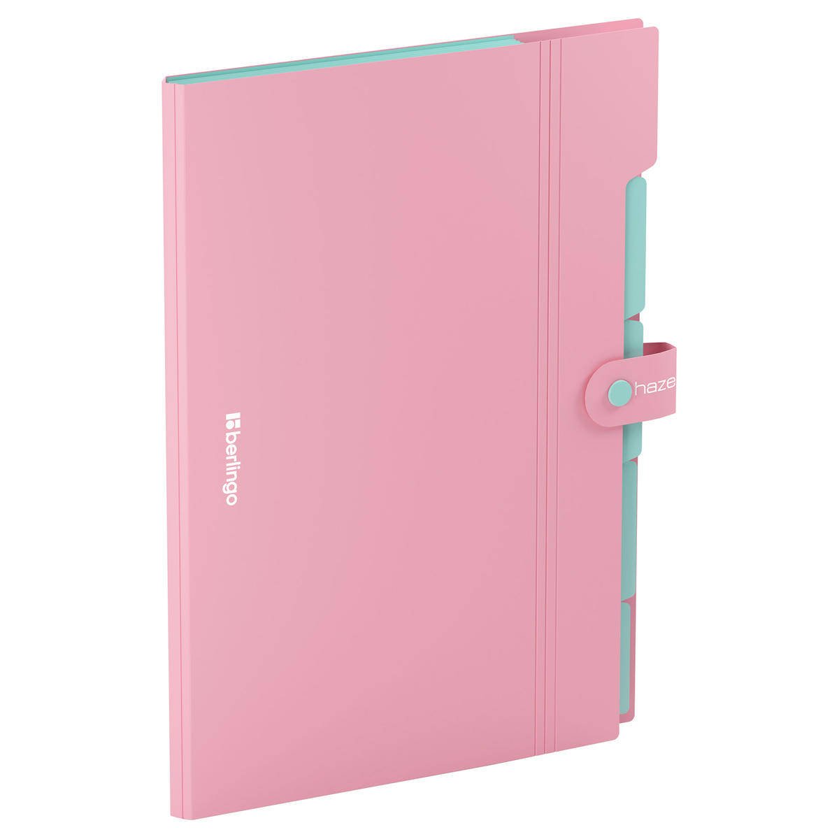 Mapa cu 5 compartimente Berlingo A4+ Radiance Mov (copie)