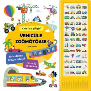 Vehicule zgomotoase. Cine face galagie?