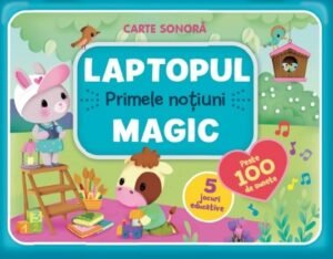 Laptopul Magic. Primele notiuni
