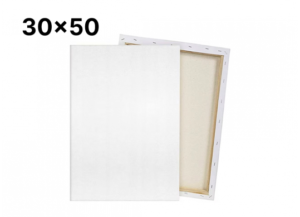 Panza pe sasiu 30x50 (bumbac)