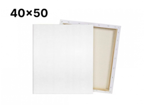 Panza pe sasiu 40x50 (bumbac)